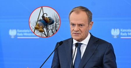 Rolnicy powiesili Kaczora Donalda. Tusk: dwuznaczny manifest