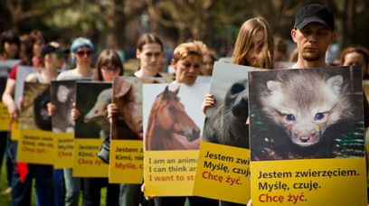 "Myślę, czuję, chcę żyć". Marsz Wyzwolenia Zwierząt w Warszawie