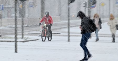 "Lecą do nas ptaki z północy". To pogodowy znak