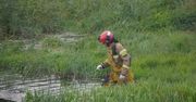 Zwłoki mężczyzny wyłowione z Wieprza. Trwa ustalanie jego tożsamości
