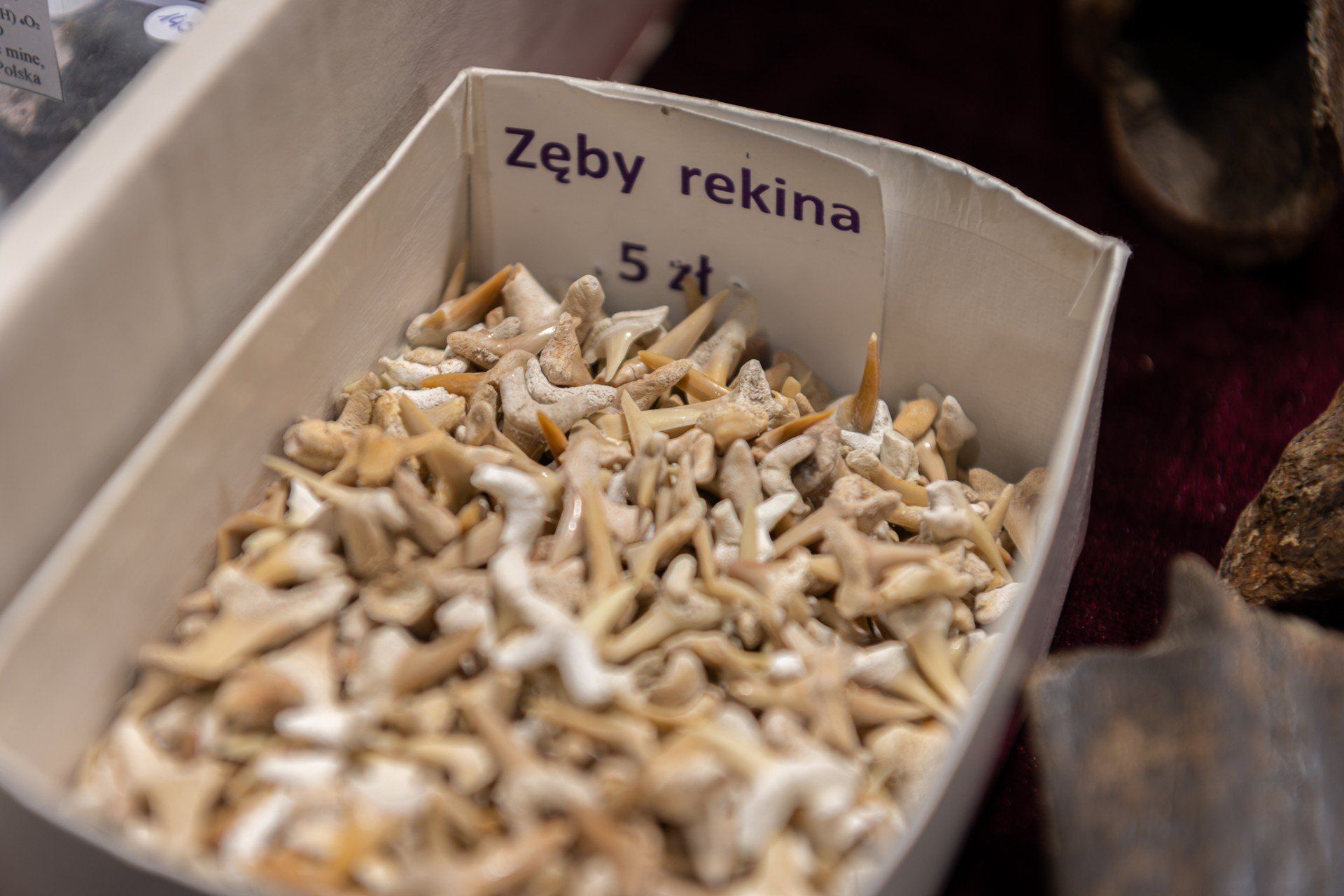  Targi Minerałów i Biżuterii &#34;Skarby Ziemi&#34; 