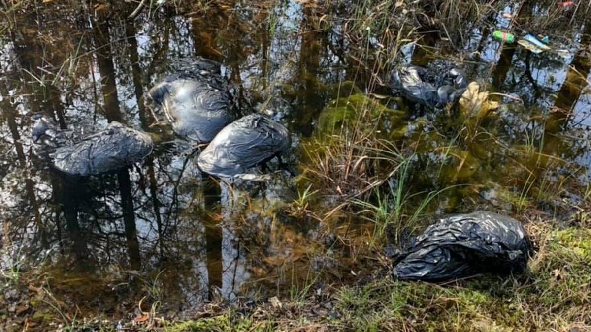 Makabryczne odkrycie w lesie