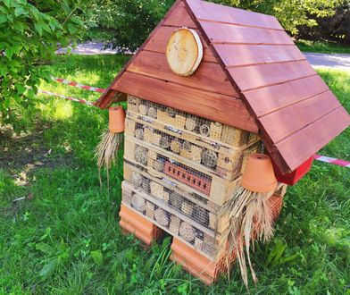 Katowice. Zielone inwestycje, są nowe drzewa, kwiaty i domki dla owadów