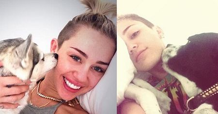 Miley "ociepla wizerunek"... psami! (FOTO)