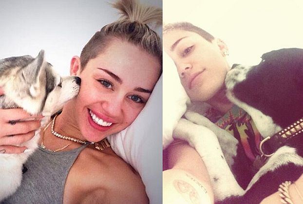Miley "ociepla wizerunek"... psami! (FOTO)