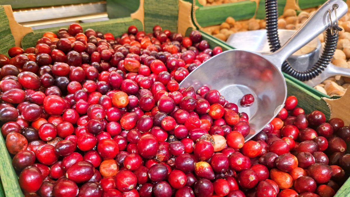 Wiele osób omija świeżą, bo nie wiemy, jak ją przerobić
