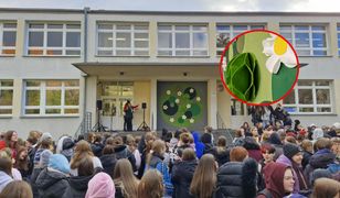 Mural z recyklingu. Wyjątkowe dzieło poznańskich uczniów