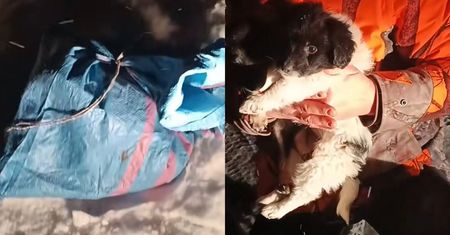 Porzucony worek na drodze. Zajrzeli do środka. "Trudno opisać"