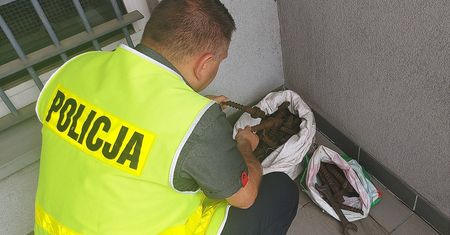 Zuchwała kradzież. Mogła skończyć się katastrofą