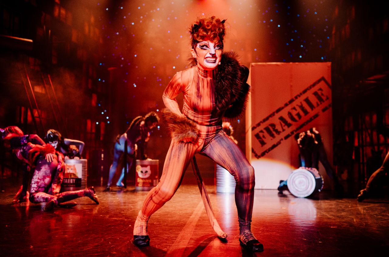 "Koty", Teatr Rozrywki w Chorzowie