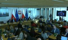 DSA ochroni internautów? Szefowa KRRiT ostrzega przed blokowaniem kanałów