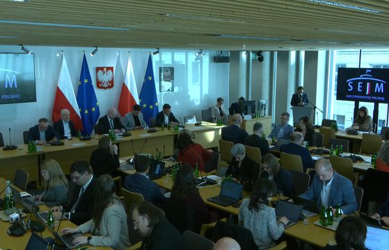 DSA ochroni internautów? Szefowa KRRiT ostrzega przed blokowaniem kanałów