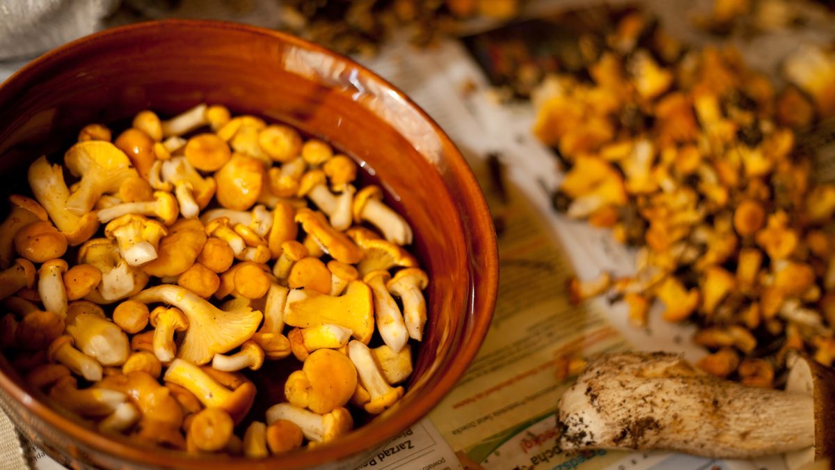 Odpowiednie oczyszczanie kurek jest bardzo ważne.