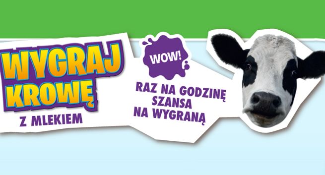 „Wygraj krowę z mlekiem” - Mleko Wypasione od Mlekovity w promocji płatków Nestlé