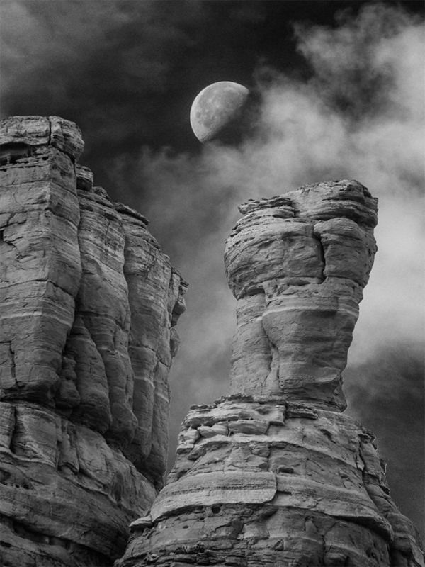 Znamy zwycięzców Black & White Spider Awards. Marek Lapis wielokrotnie wyróżniony 23
