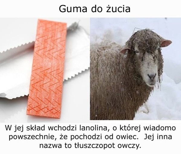 10 obrzydliwych substancji, które zjadasz na co dzień 5
