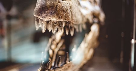 Powietrze z czasów dinozaurów. Udało się je odtworzyć