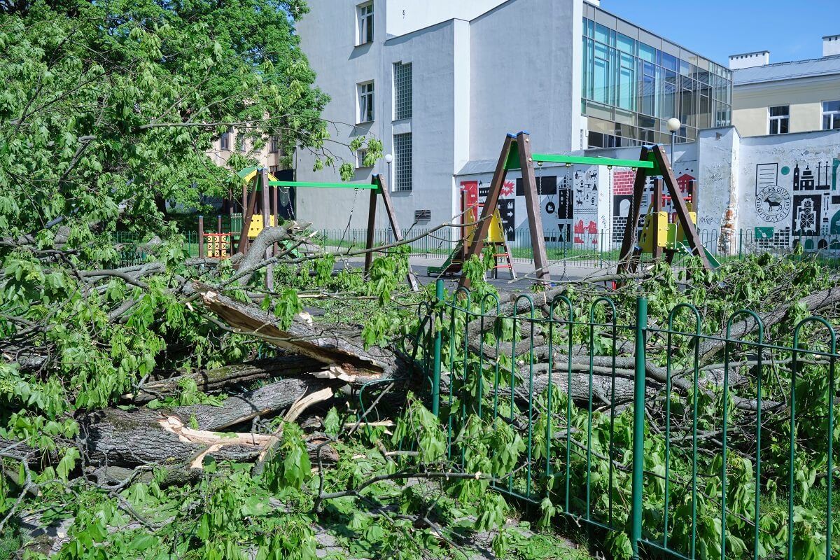 Drzewo spadło na plac zabaw w centrum Lublina