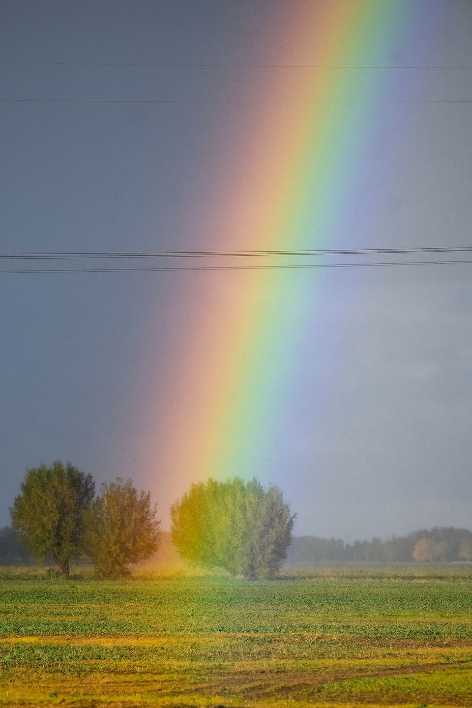 Bajkowa tęcza na Żuławach