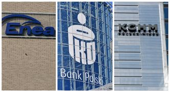 Nie tylko Orlen. Bierzemy pod lupę audyty w innych spółkach Skarbu Państwa