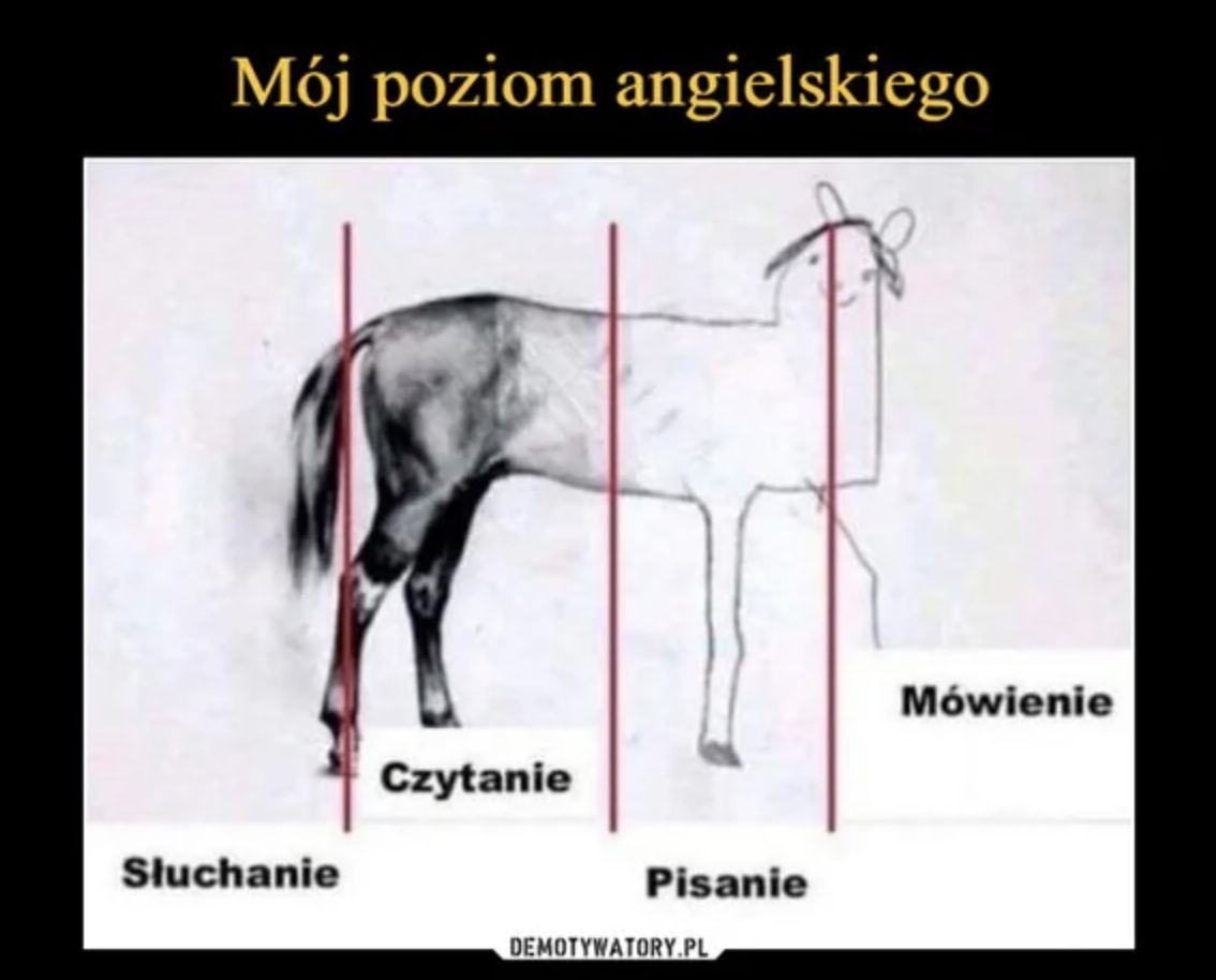Memy matura 2025 z języka angielskiego