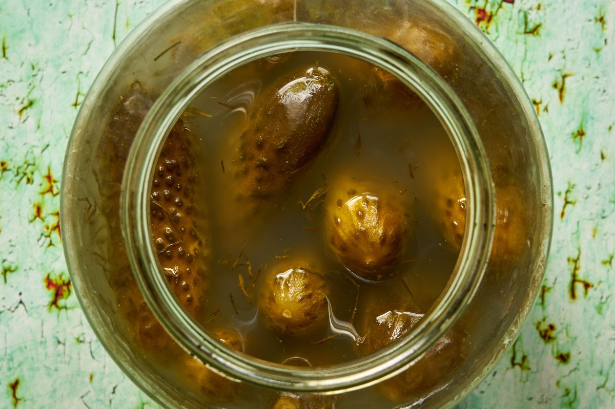 Lukewarm water: The secret to perfect crunchy pickled cucumbers