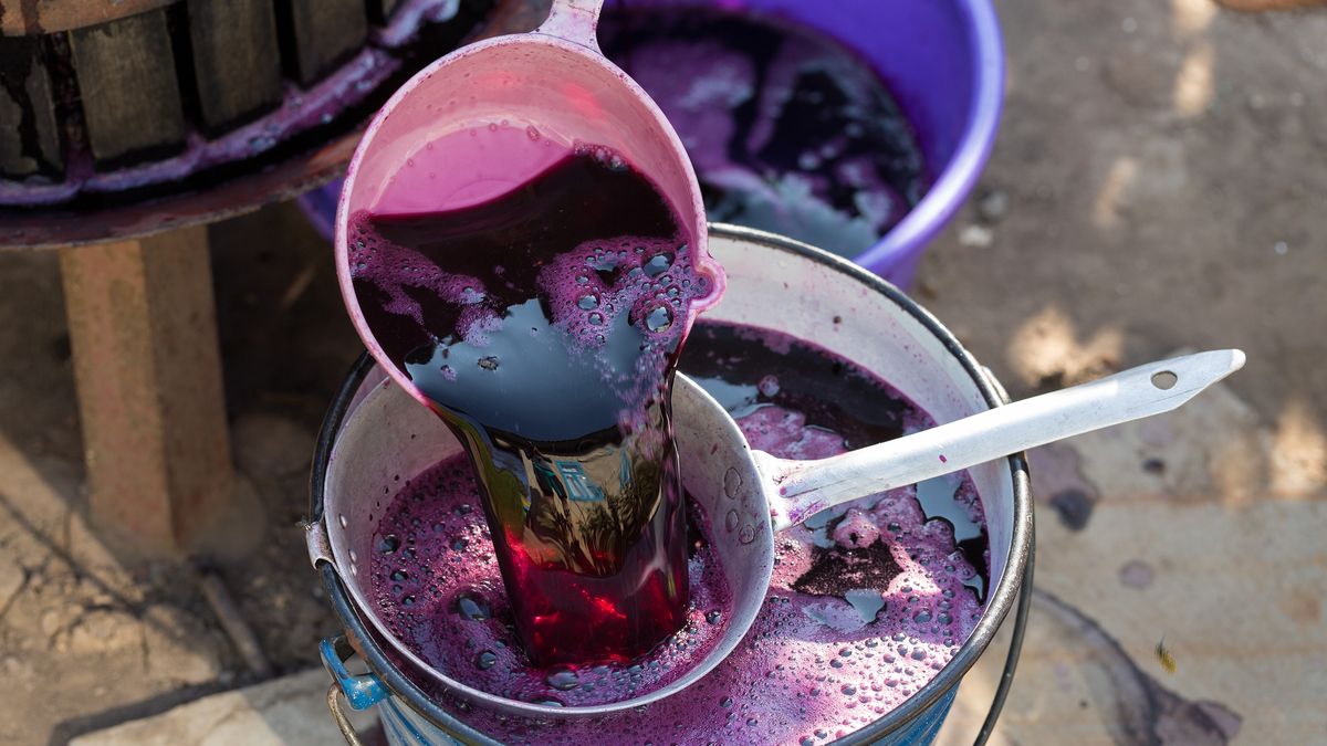 Winepress with red must and helical screw. Traditional old technique of wine making. Filtering grape must.
Winepress with red must and helical screw. Traditional old technique of wine making. Filtering grape must.
Photographer, artist