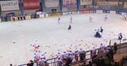 1. liga hokeja: Komplet publiczności oglądał pogrom ich drużyny