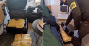 Bydgoszcz: 170 kg narkotyków w torbach i walizkach w mieszkaniu