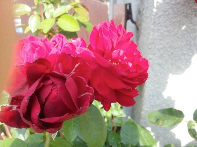 Samsung Galaxy Tab A - czy to na pewno tablet Samsunga? [recenzja konkursowa #8] 12