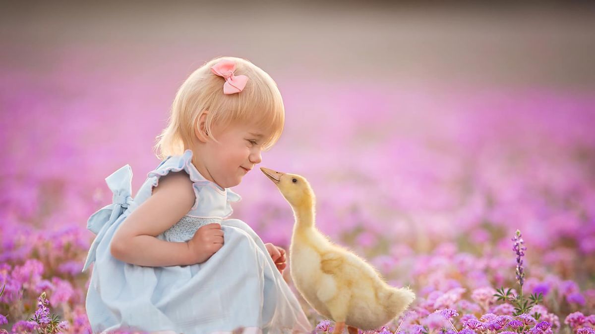 Lisa Holloway dokumentuje dorastanie swoich 11 dzieci ze zwierzętami na pięknych zdjęciach.