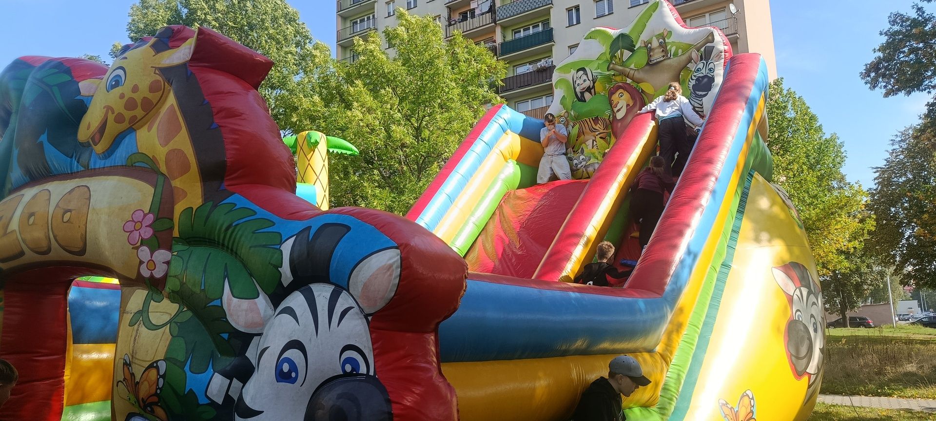 Prawie 1500 osób posprzątało Ostrowiec.