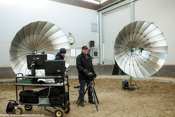 Peter Hebeisen pokazuje, jak sfotografować... słonia 2