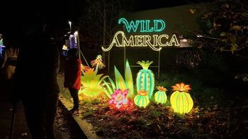 Wrocław: "Dzika Ameryka" - wystawa Garden of Lights rozświetla ZOO
