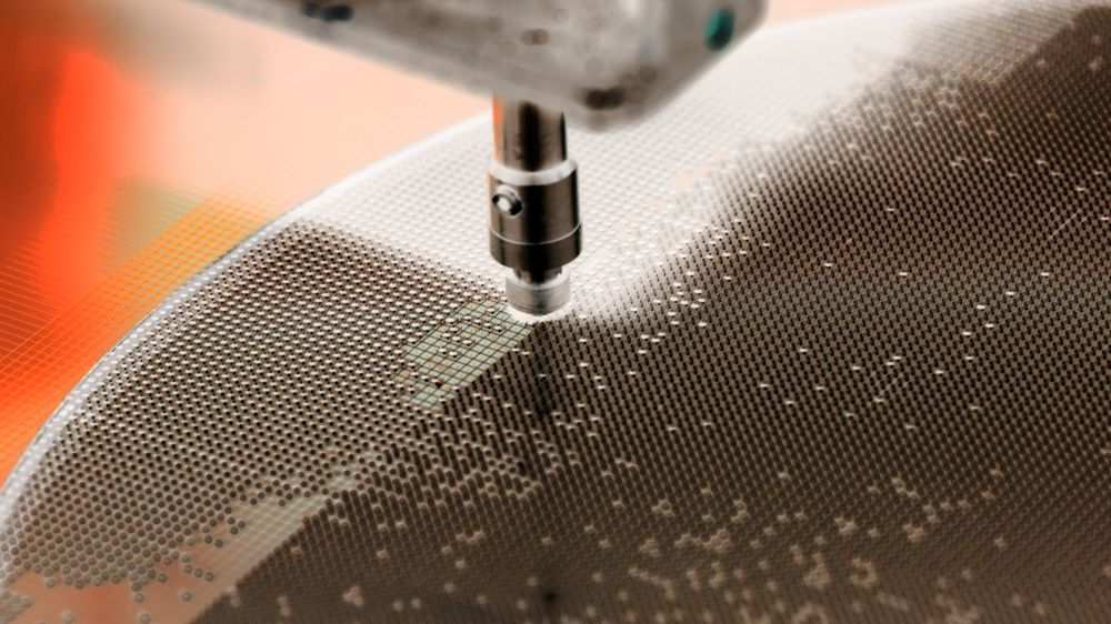 fot. Shutterstock.com