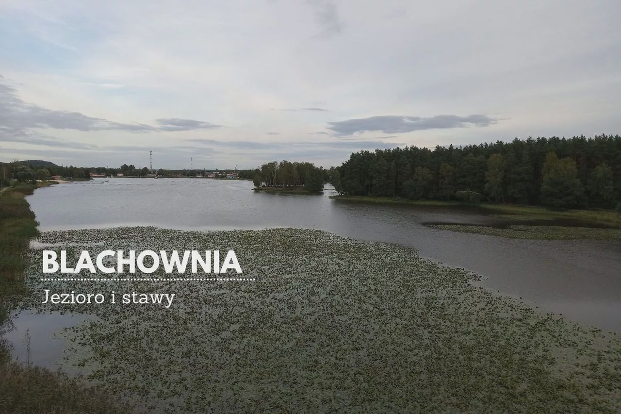 Zalew Blachownia