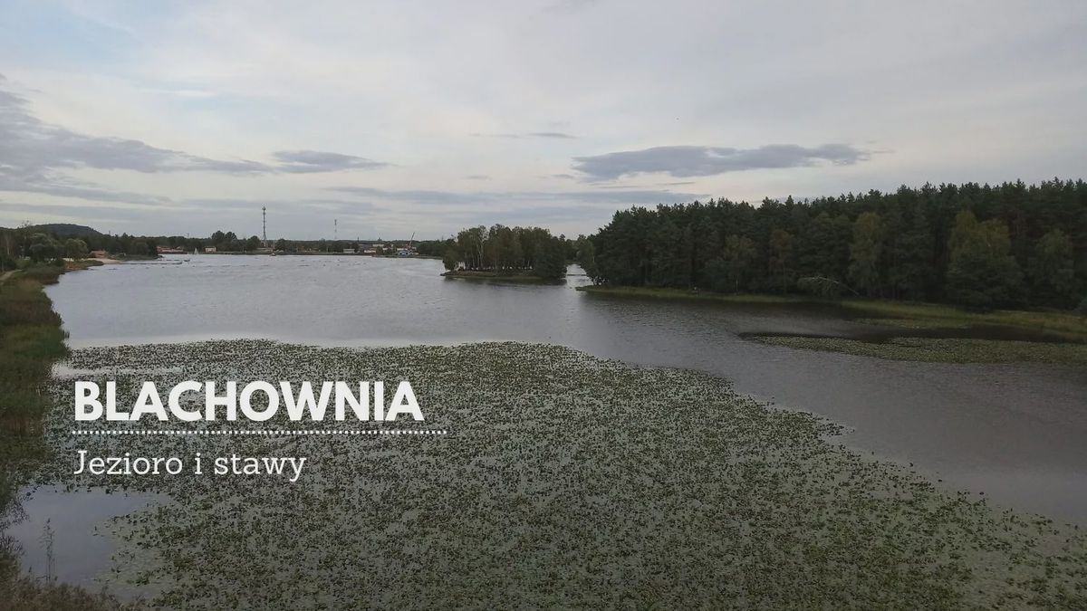 Zalew Blachownia