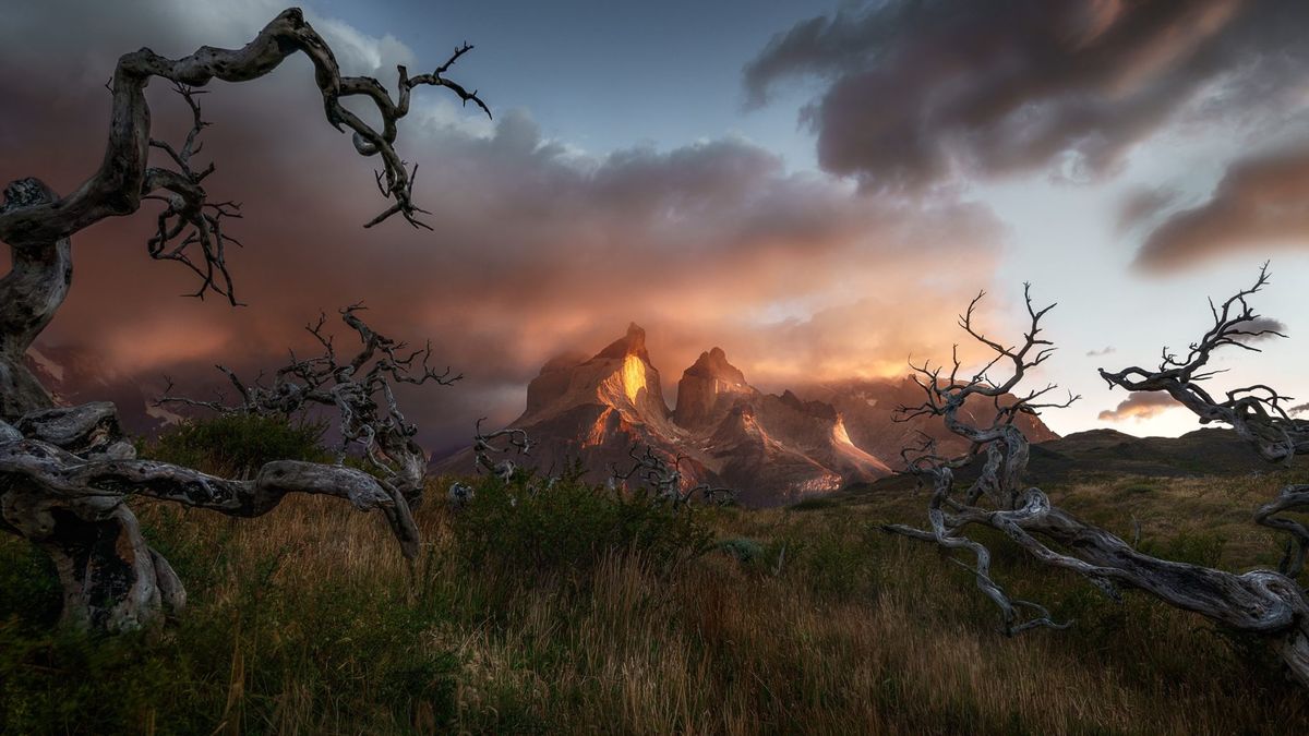 EPSON International Pano Awards 2019 - Polak wśród wyróżnionych 1