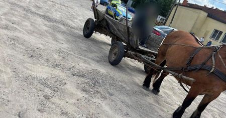"Nie zapanował nad koniem". Pijany woźnica spowodował kolizję