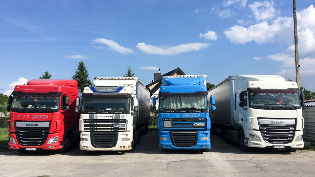 Zdjęcie ilustracyjne do artykułu