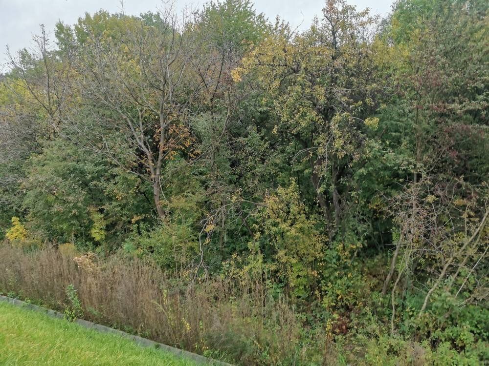 Rzeszów: Znana jest wstępna przyczyna śmierci dwojga nastolatków