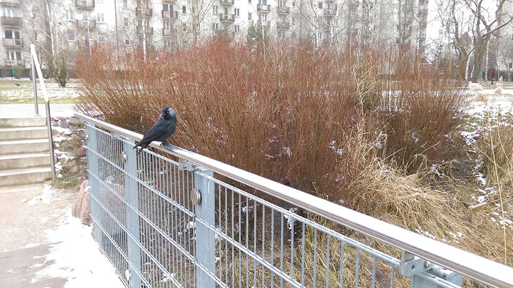 HTC Desire Eye - test fotograficzny 9