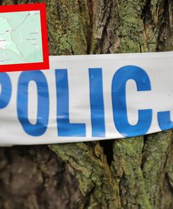 Trzy ofiary śmiertelne. Runęło drzewo w parku