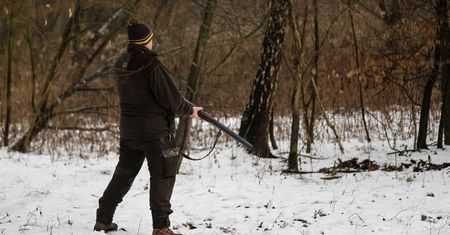 Myśliwy postrzelił psa. Bąbel nie przeżył