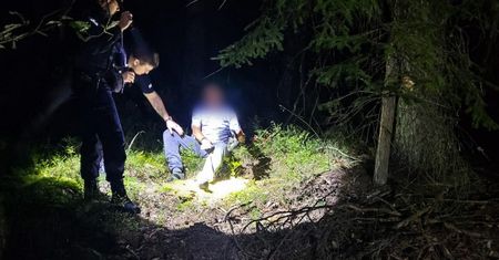 Groza w lesie. Senior ze strachu przed zwierzyną próbował wejść na drzewo