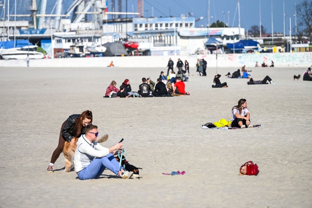 Gdynia: Stowarzyszenie OVUM pod lupą po skargach pracowników