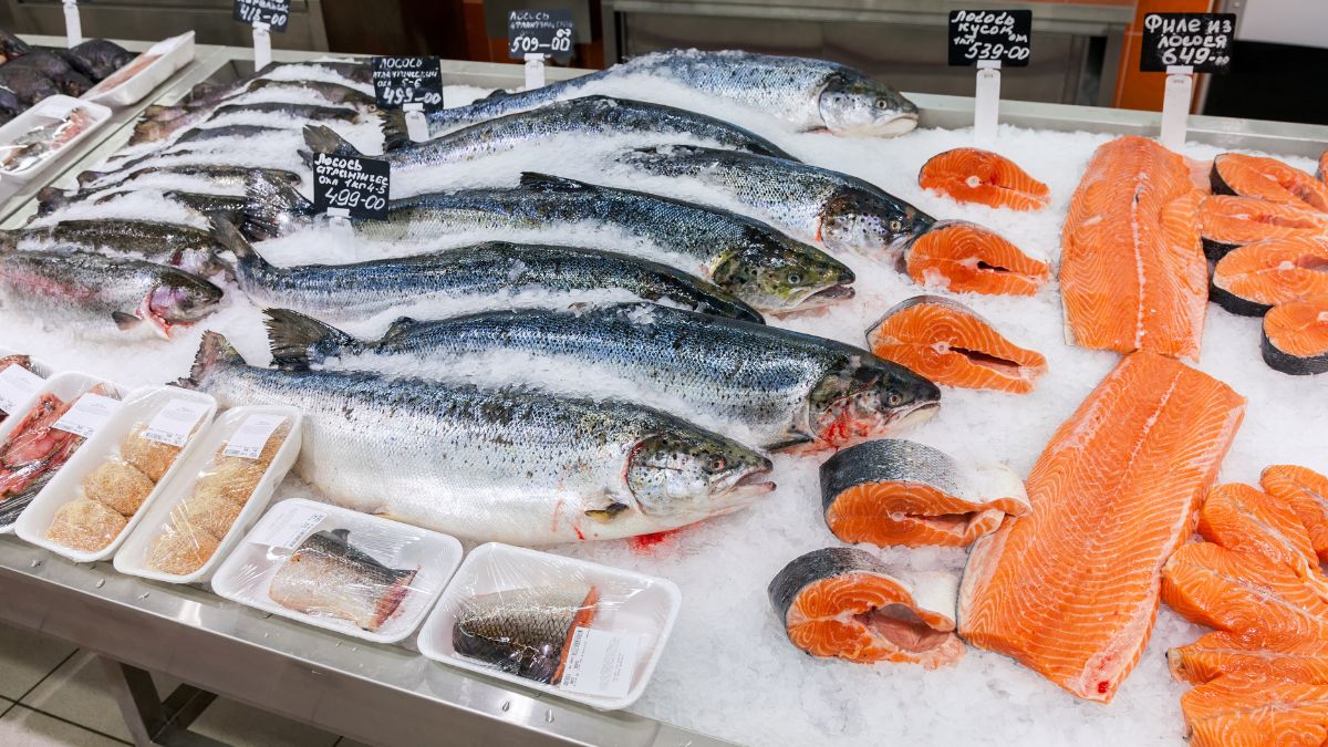 Karmazyn pacyficzny to najzdrowsza ryba