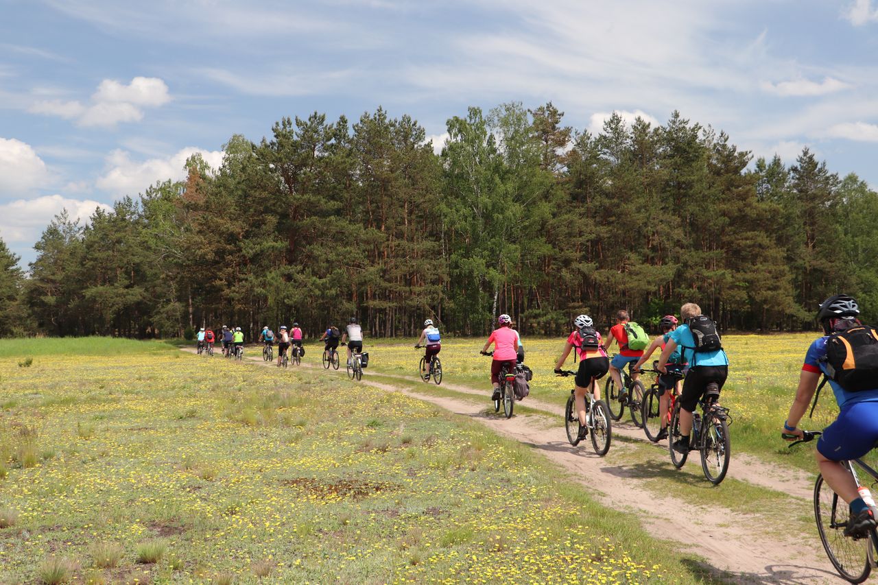 XVII Żuławski Rajd Rowerowy. Rowerzyści przejechali 80 km przez Żuławy i Kociewie