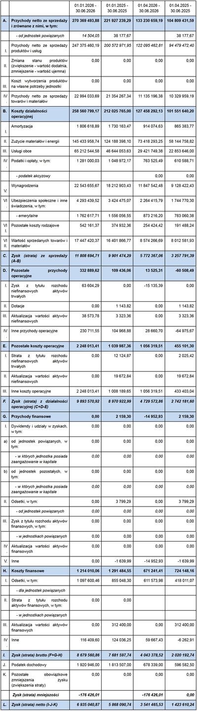 Wyniki finansowe grupy SFD