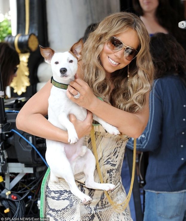 Psy Mariah Carey latają pierwszą klasą!